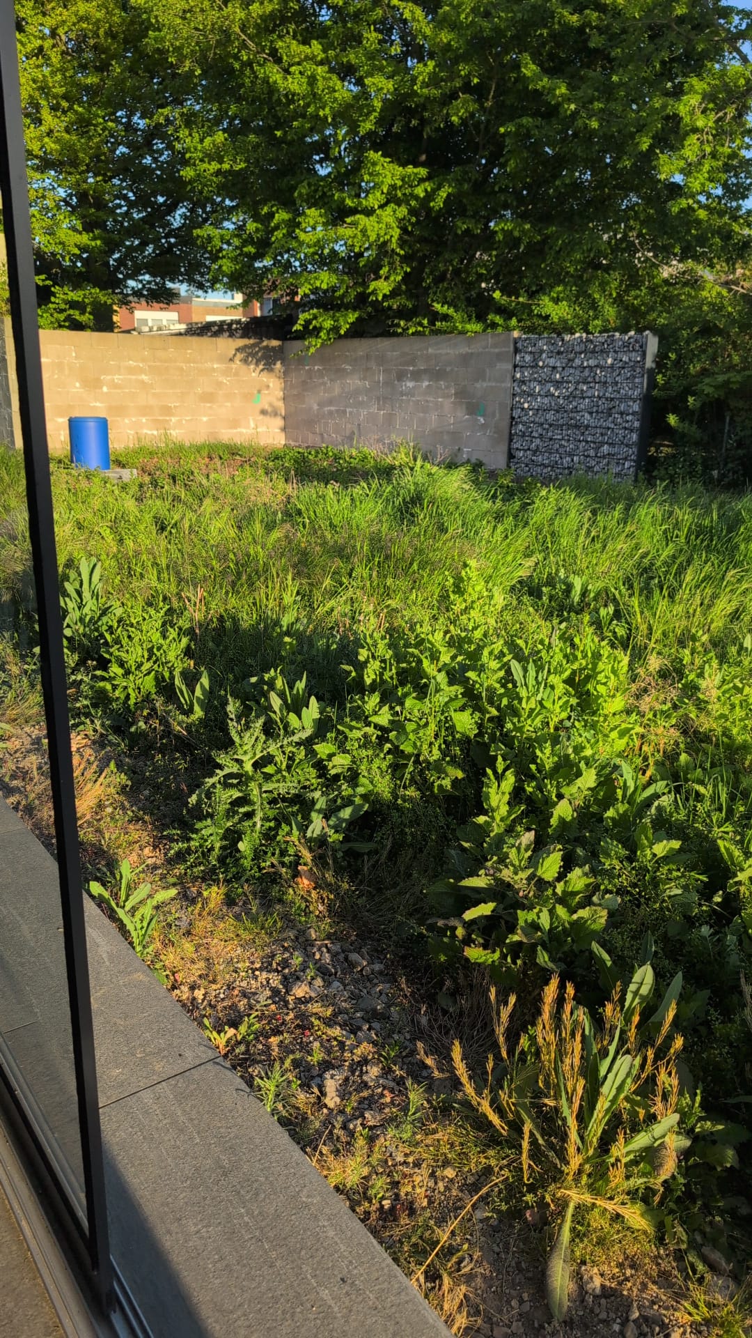 Gartenpflege Beispiel